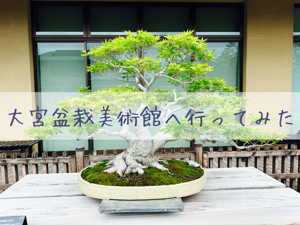 さいたま市大宮盆栽美術館で盆栽の美しさに魅了される